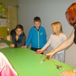 Náhodný obrázek: dscn1362