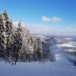 Náhodný obrázek: 20200205_143238