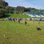 Náhodný obrázek: IMG-20200926-WA0000