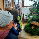 Náhodný obrázek: 311066297_1386541571874519_9108101939611143981_n