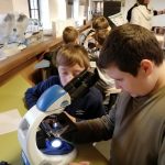 Náhodný obrázek: IMG_20221122_095406