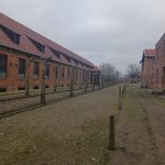 Náhodný obrázek: IMG_20230214_132344