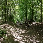 Náhodný obrázek: IMG_20230525_125722