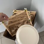 Náhodný obrázek: received_113762168384971