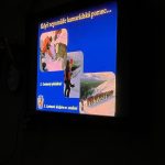 Náhodný obrázek: IMG_1204