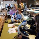 Náhodný obrázek: 20241127_104852