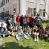 IMG_20250604_114543 blog_thumb