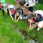 Náhodný obrázek: da3c20c9-b30d-472e-9485-13441bc93043