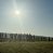blog_thumb