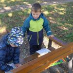 Náhodný obrázek: IMG_20251003_094359456_HDR