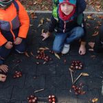 Náhodný obrázek: IMG_20251003_110421390