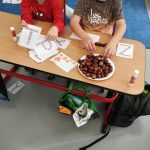 Náhodný obrázek: IMG_20251008_110732