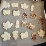 Náhodný obrázek: IMG_20251015_090841