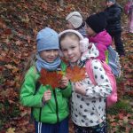 Náhodný obrázek: IMG_20251016_091021641