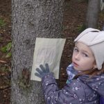 Náhodný obrázek: IMG_20251016_095425427