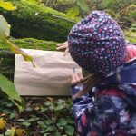 Náhodný obrázek: IMG_20251016_095546763_HDR