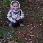 Náhodný obrázek: IMG_20251016_100345317_HDR