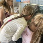 Náhodný obrázek: att.Jh8uprLWrSABkWZcqp6NA0Dl84CkJj9gbBRZjOrd4AI.jpg